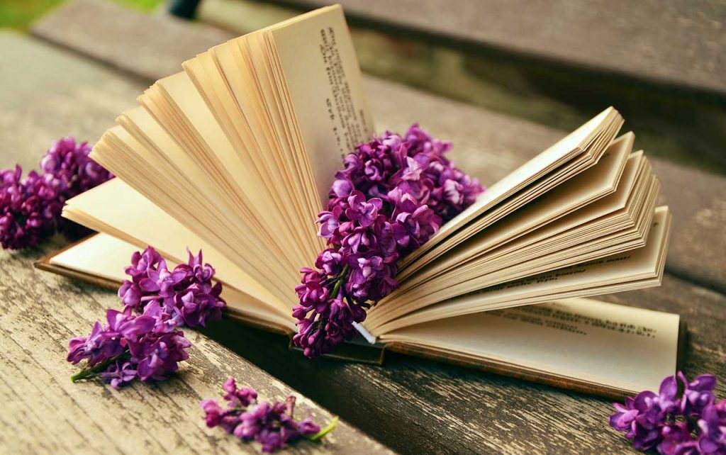 Open book sitting on a wooden park bench, surrounded by purple lilacs.