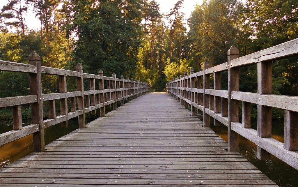 Wooden walking bridge extending off into the distance.