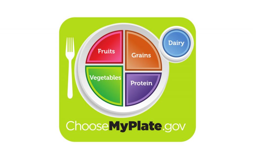 MyPlate graphic displaying a circular plate with fruits, vegetables, grains, and protein listed on it. A smaller circle is depicted for dairy.
