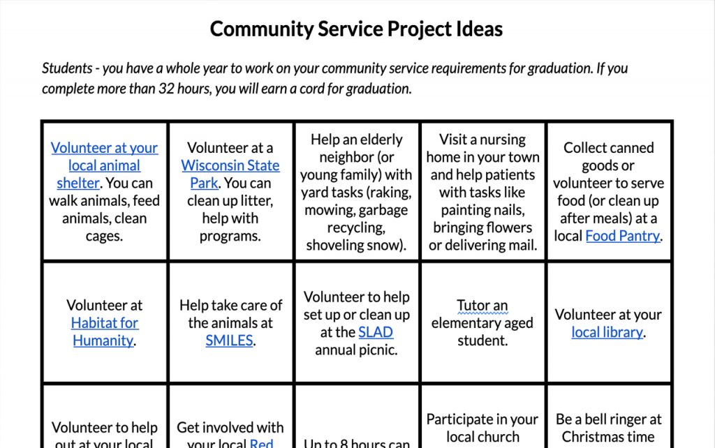 Screenshot of community service project ideas grid.