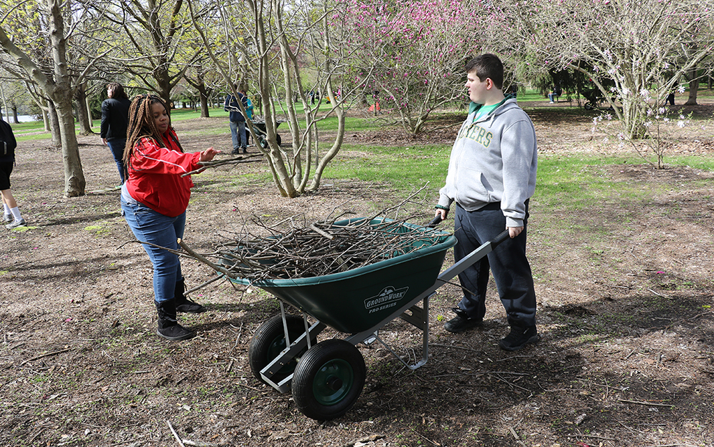 Students cleaning up sticks and putting them in a wheelbarrow.